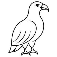 dove of peace