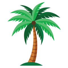 Plam Tree