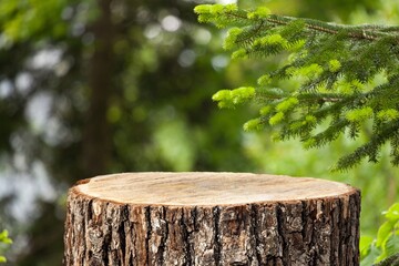 Simple wooden podium platform in forest nature