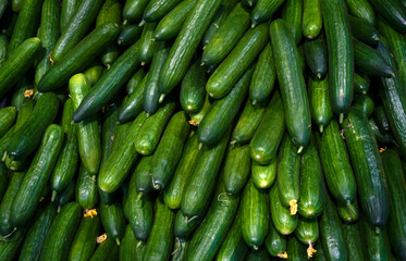 cucumber background, many cucumbers on market 