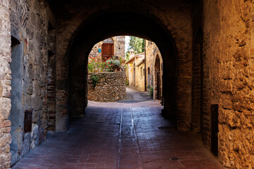 Obraz premium Traditional stone buildings in San Gimignano, Italy, adorned with ivy and rustic balconies. The charming architecture showcases the town's rich medieval history
