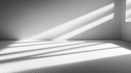 Sunlight Streaks on White Room Floor   Minimalist Interior Design