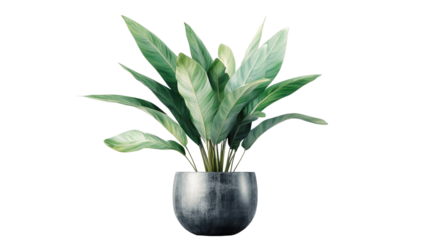 Brown earthen flower pot with green plant isolated on white background. PNG file with transparent background