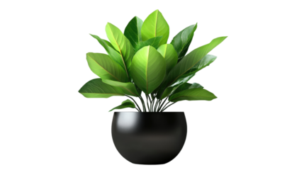 Brown earthen flower pot with green plant isolated on white background. PNG file with transparent background