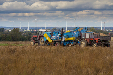 Farm machinery harvesting potatoes on farm field © Bagatela