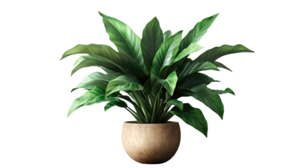 Brown earthen flower pot with green plant isolated on white background. PNG file with transparent background
