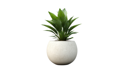 Brown earthen flower pot with green plant isolated on white background. PNG file with transparent background