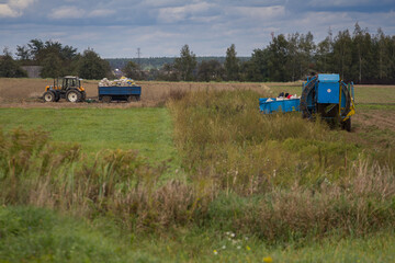 Farm machinery harvesting potatoes on farm field © Bagatela