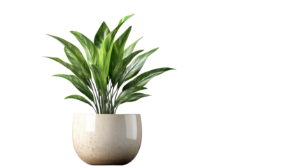 Brown earthen flower pot with green plant isolated on white background. PNG file with transparent background