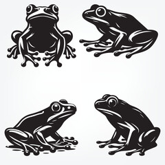 frog on a white background