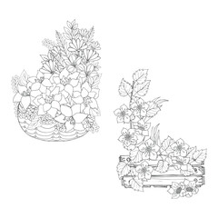 Fototapeta premium Flora line art coloring pages for decoration