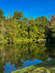 Reflection Of Trees On The Shoreline Into The Still Waters Of A Lake