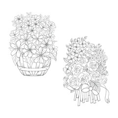 Flora line art coloring  pages for decoration