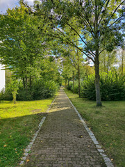 path in the park, sunny day during autumn