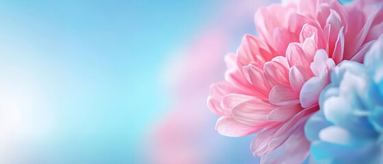 Obraz premium A tight shot of a pink-blue bloom against a harmonious blue-pink canvas, backdrop featuring a softly blurred sky