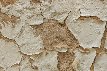 Detailed close-up of cracked, peeling white paint on a rough textured wall, exposing the underlying brown surface. The texture highlights decay and aging.