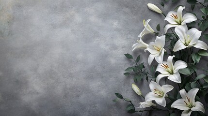 White lilies with green leaves on a gray background.