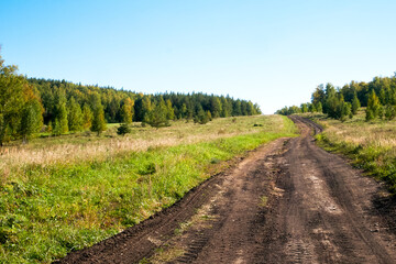 A village road stretching into the distance, against a background of forest and blue sky. Nature on a summer day.
