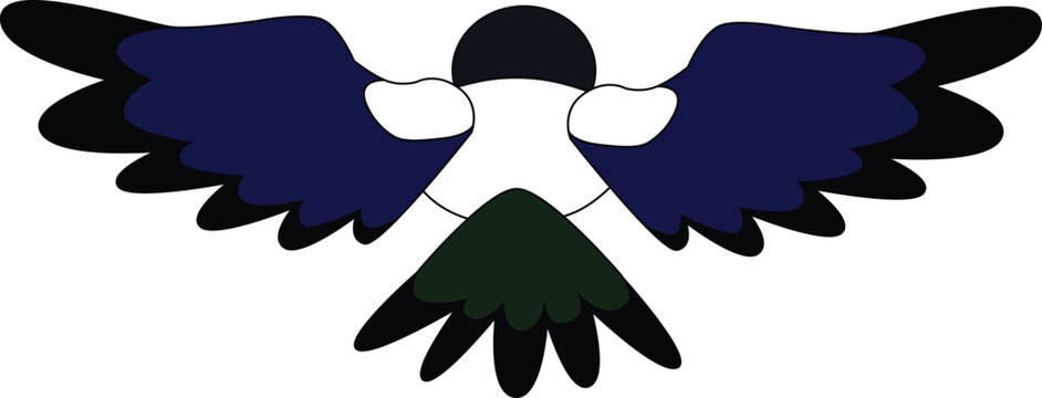 recommend clip art: black and white magpie flies away with its wings spread, rear view, stock vector, cartoon