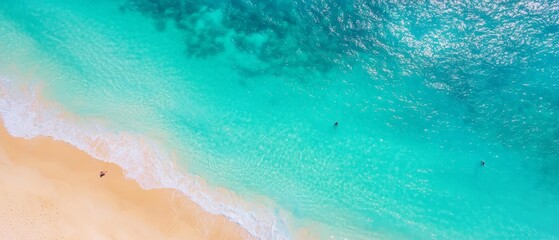  A bird's-eye perspective of a beach with two individuals swimming and one on a surfboard