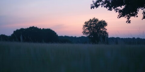 Naklejka premium A tranquil landscape at dusk, featuring a solitary tree and a field under a colorful sky.