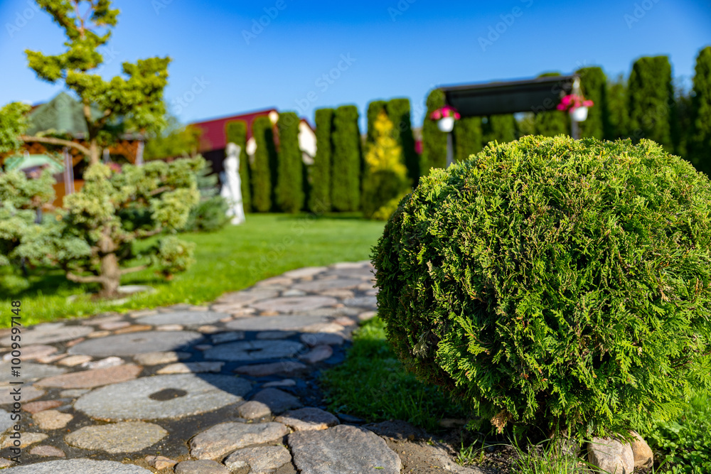 Wall mural serene garden scene. a well-manicured, round, green bush stands prominently in the foreground. behin