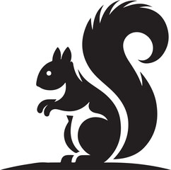 A black squirrel with a roundeye and long tail on white background