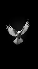 A white pegeon flying animal black bird.