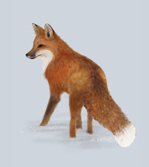 Fox digital painting