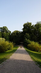 road in the countryside