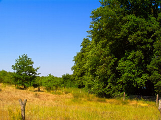 Urlaub in der schönen Natur der Uckermark