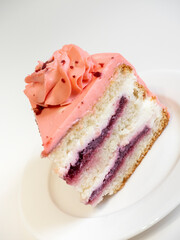 close-up of a piece of delicious layer cake on a white plate.