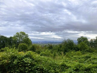 Weitblick mit Gr&uuml;n 