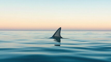serene ocean scene with a single shark fin emerging from the calm water under a clear sky.