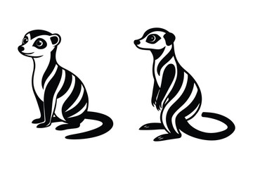 black and white meerkat