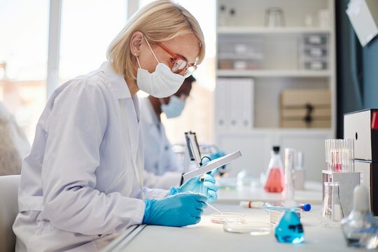 SIde view of female biochemist in protective mask looking through magnifying glass at bacteria on petri dish studying microorganisms while working with pipette at table in laboratory, copy space