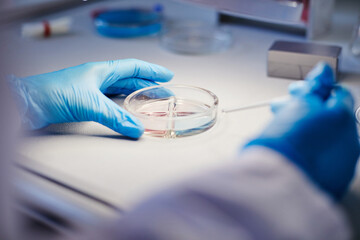 Close up on hands of unrecognizable biochemist working with liquid in petri dish studying bacteria while developing new pharmaceuticals in laboratory of manufacturing company, copy space