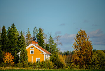 View of a village house surrounded by colorful autumn trees and forest