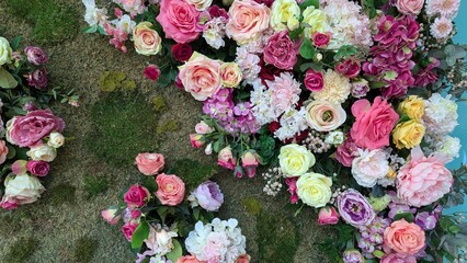 pink and white flowers
