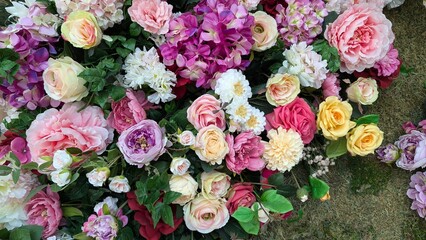 flowers in the garden