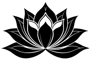 black and white lotus flower