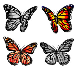 HERMOSAS MARIPOSAS A COLOR Y EN ESCALA DE GRISES ILUSTRADAS Y RETOCADAS DOGITALMENTE
