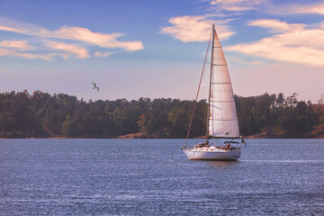 Embark on a Serene Sailing Adventure on the Calm, Tranquil Waters of Stunning Landscapes