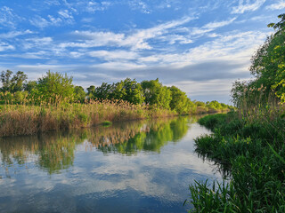 Nature's reflection in the Bega river on a summer evening in Timisoara, Romania