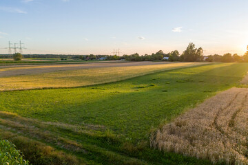 Obraz premium A picturesque aerial view of lush green fields at sunset, showcasing a serene landscape with vibrant colors and rural charm.