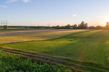 A serene landscape of a lush green field at sunset with distant trees and power lines silhouetted against the vibrant sky.