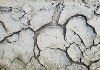 The background of arid cracked earth. The concept of environmental protection.