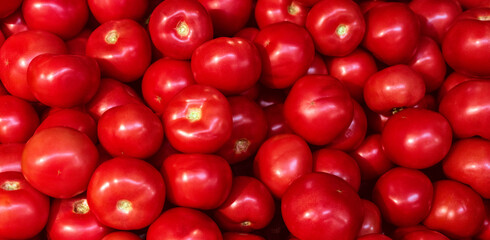 Red organic tomato close up vegetable background Top view