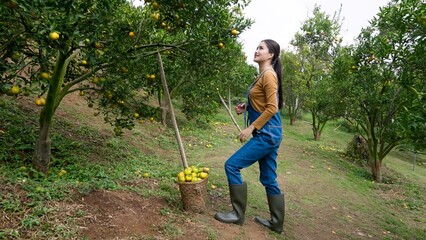 Asian woman in a brown shirt and blue overalls, smiling and walking through an orange orchard, carrying a basket of freshly harvested oranges. hardworking yet serene lifestyle of organic farming.
