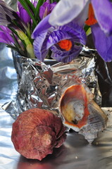 seashells and lilac spring crocuses